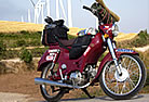 JAWA 50 Pioner 
