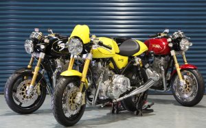 Norton