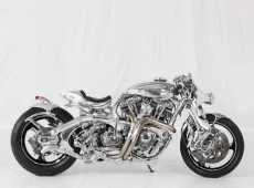 freestyle-1st-world-champion-tavax-engineering