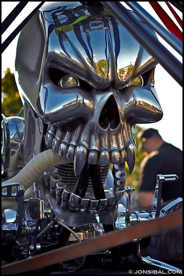 Skull Motorcycle