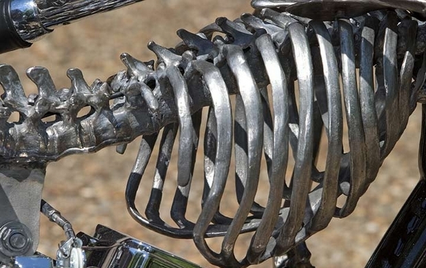 Titanium Skeleton Bike