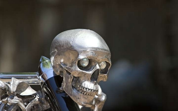 Titanium Skeleton Bike